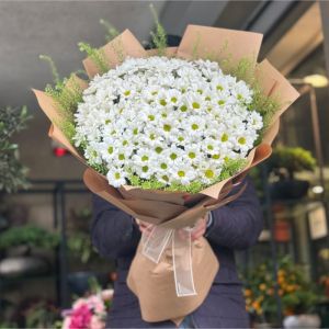 Alanya Florist - Daisy & Gerbera