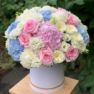  Alanya Florists - Hydrangea