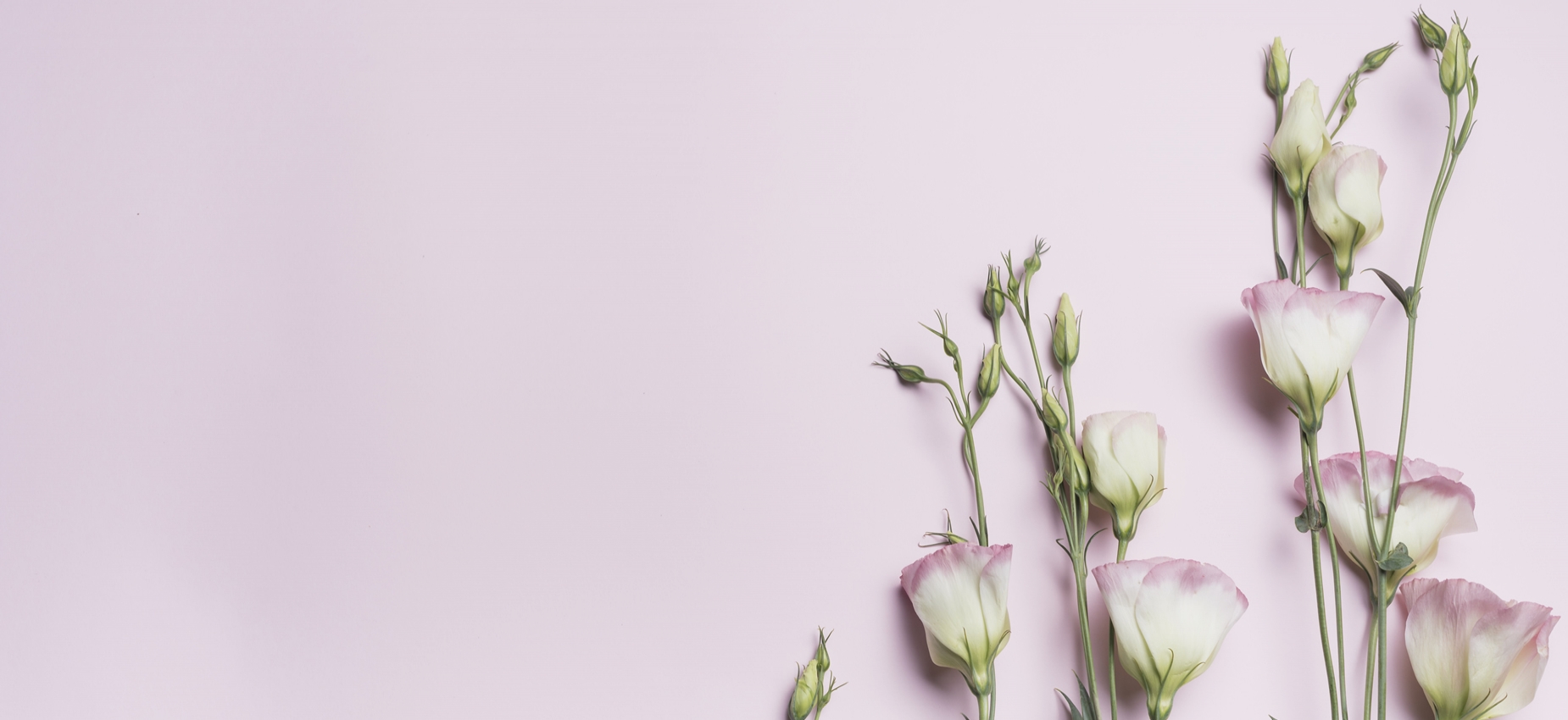 Alanya Çiçek Siparişi