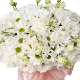  Alanya Çiçek Pembe Kutuda Beyaz Papatya 