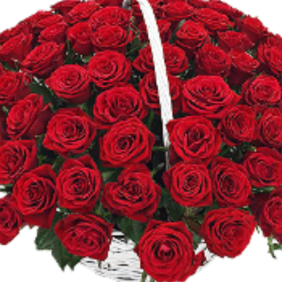  Alanya Çiçek Siparişi Sepette 51 Adet Kırmızı Gül