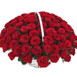  Alanya Çiçek Gönder - Sepette 51 Adet Kırmızı Gül